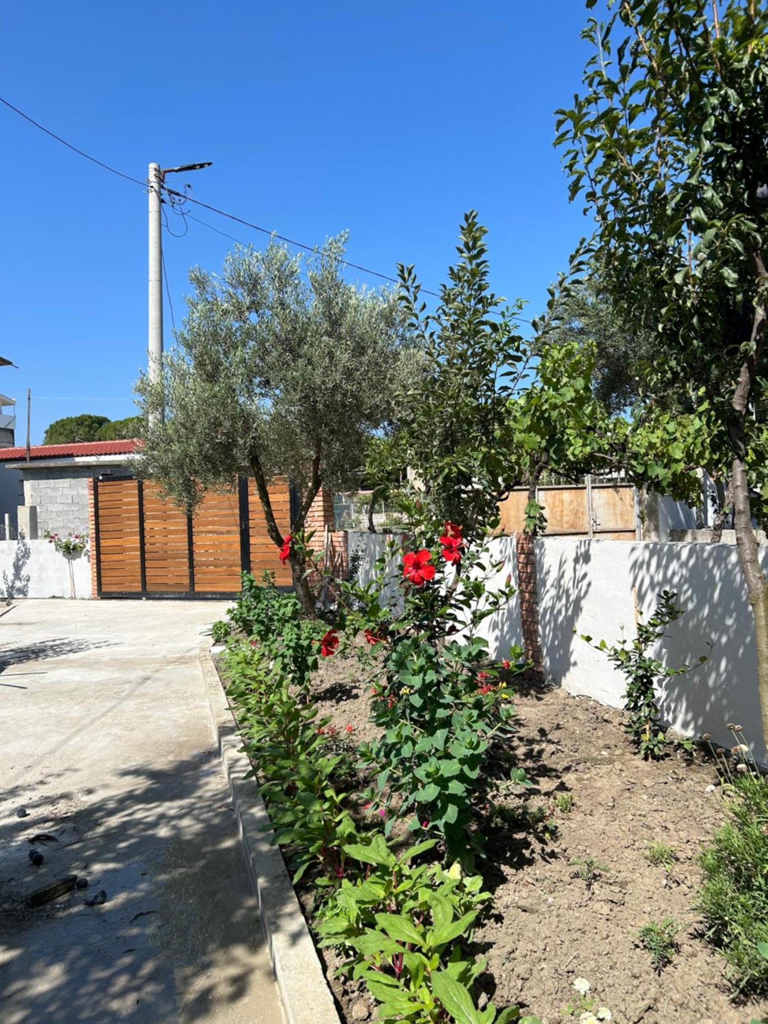 Vila Roan Vlorë Εξωτερικό φωτογραφία